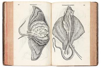 [Medicine & Science] Aldrovandi, Ulisse (1522-1605) De Piscibus Libri V et de Cetis Lib. Unus.